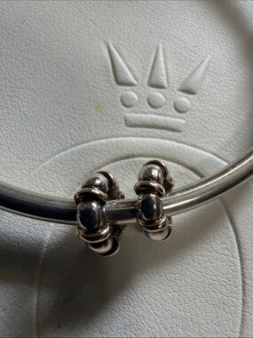 Pandora Two-Tone Silver and Gold Accent Hoop Charms